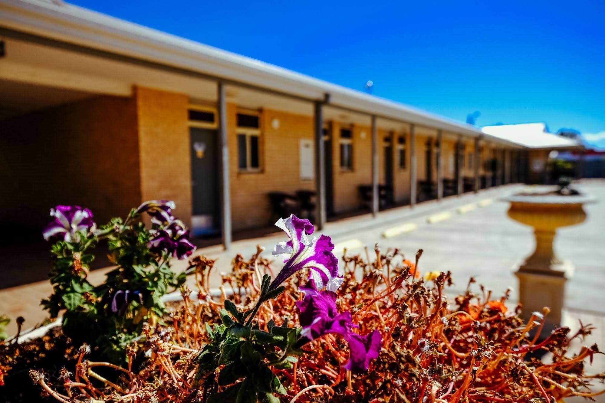 Club Motor Inn Narrabri Exterior foto